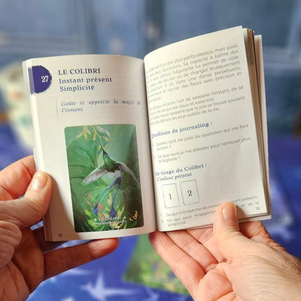 Oracle Esprit des Oiseaux