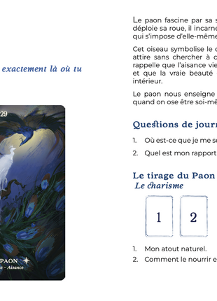 Oracle Esprit des Oiseaux