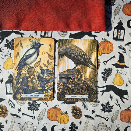 Tapis de tirage Chat noir - 4
