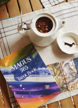 Agenda de pratique  Magus 365