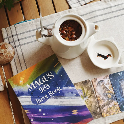 Pack Rentrée : Agenda Magus 365+ Les 2 livrets de tirages - 9