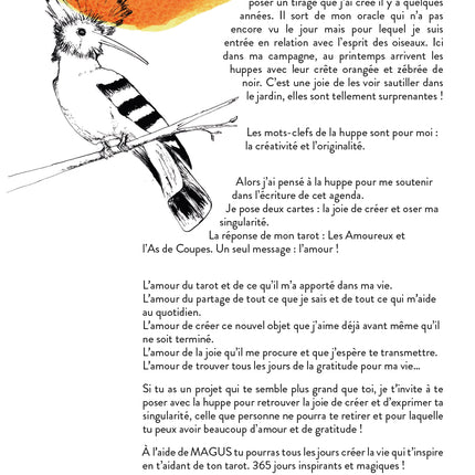 Pack Rentrée : Agenda Magus 365+ Les 2 livrets de tirages - 12