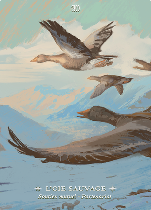 Oracle Esprit des Oiseaux