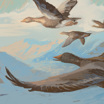 Oracle Esprit des Oiseaux