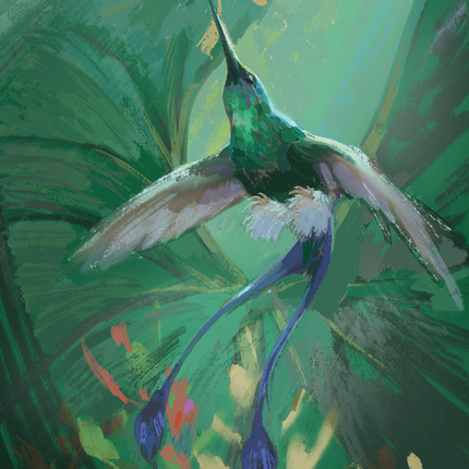 Oracle Esprit des Oiseaux