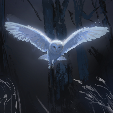 Oracle Esprit des Oiseaux