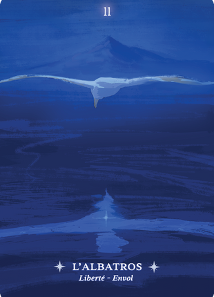 Oracle Esprit des Oiseaux