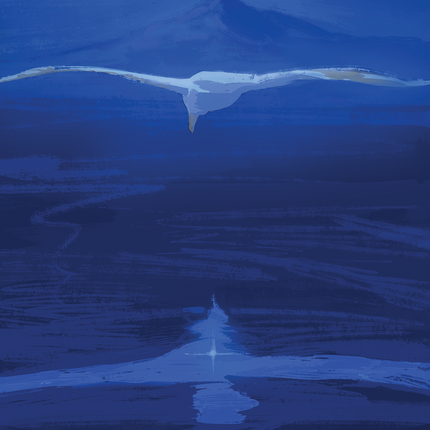Oracle Esprit des Oiseaux