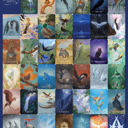 Oracle Esprit des Oiseaux
