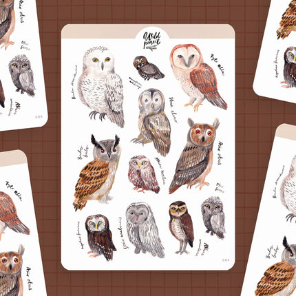Planche de stickers— Chouettes